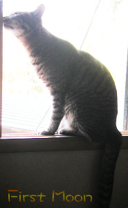 20050507.jpg