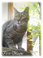 20061103.jpg