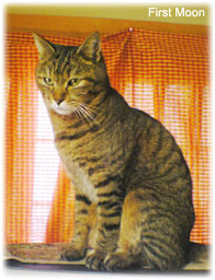 20070311.jpg