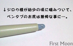 20081107_3.jpg