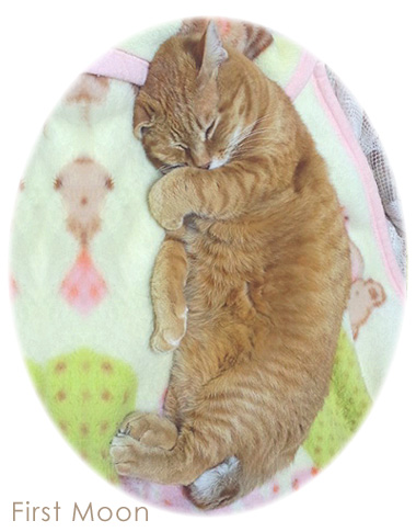 20100420_2.jpg
